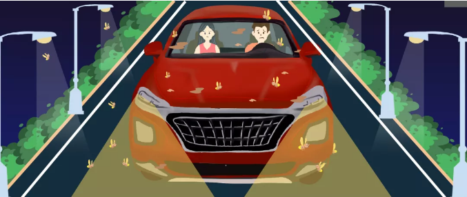 安全清除車身飛蟲，僅需十分鐘
